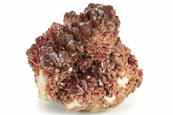 Glittering, Ruby Red Vanadinite Crystals on Barite - Morocco #233970